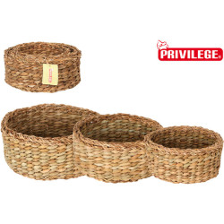 MACETA RATO 15,8 LITROS CON CUBILETE PARA PLANTAR EN COLOR ANTRACITA