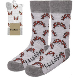 CALCETINES FRIENDS LIGHT GRAY